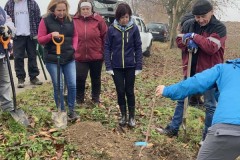 MY-TREES-sazeni-Senice-na-hane-00183