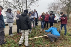 MY-TREES-sazeni-Senice-na-hane-00184