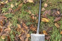 MY-TREES-sazeni-Senice-na-hane-00185