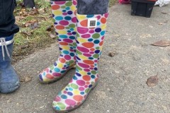 MY-TREES-sazeni-Senice-na-hane-00187