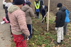 MY-TREES-sazeni-Senice-na-hane-00193