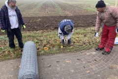 MY-TREES-sazeni-Senice-na-hane-00195