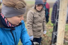 MY-TREES-sazeni-Senice-na-hane-00198