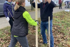 MY-TREES-sazeni-Senice-na-hane-00199