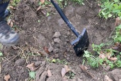 MY-TREES-sazeni-Senice-na-hane-00200