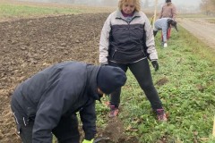 MY-TREES-sazeni-Senice-na-hane-00202