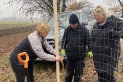 MY-TREES-sazeni-Senice-na-hane-00207