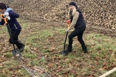 MY-TREES-sazeni-Senice-na-hane-00209