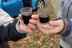 MY-TREES-sazeni-Senice-na-hane-00213