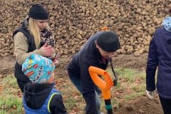 MY-TREES-sazeni-Senice-na-hane-00215