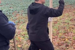 MY-TREES-sazeni-Senice-na-hane-00219