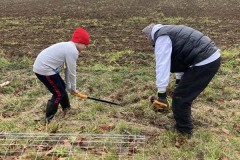 MY-TREES-sazeni-Senice-na-hane-00222