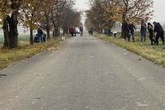 MY-TREES-sazeni-Senice-na-hane-00229