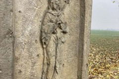 MY-TREES-sazeni-Senice-na-hane-00231