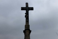 MY-TREES-sazeni-Senice-na-hane-00237