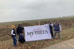 MY-TREES-sazeni-Senice-na-hane-00238