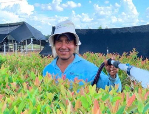 Naši kolumbijští partneři: společnost InverBosques (Kolumbie)