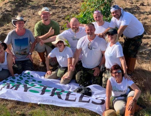 MY TREES GLOBAL: From a Big Dream to Reality