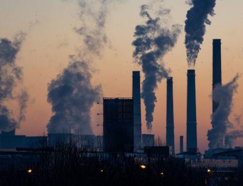 MY TREES GLOBAL: Clearing the Air