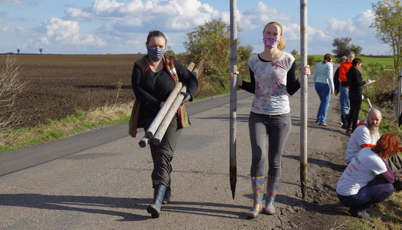 mytrees-sazime-featured-image