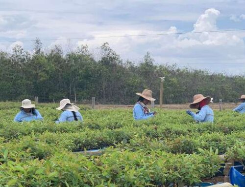 Deníček z Kolumbie